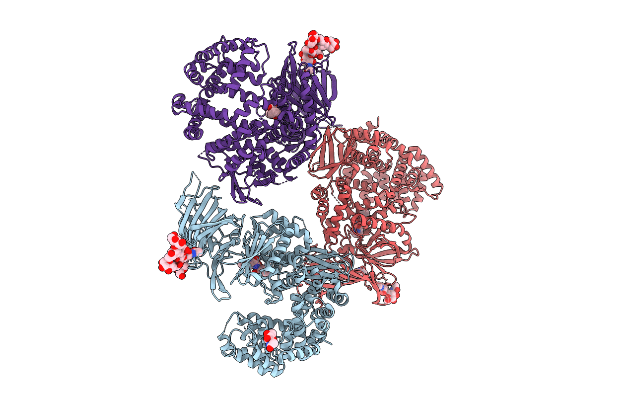 3MDJ image
