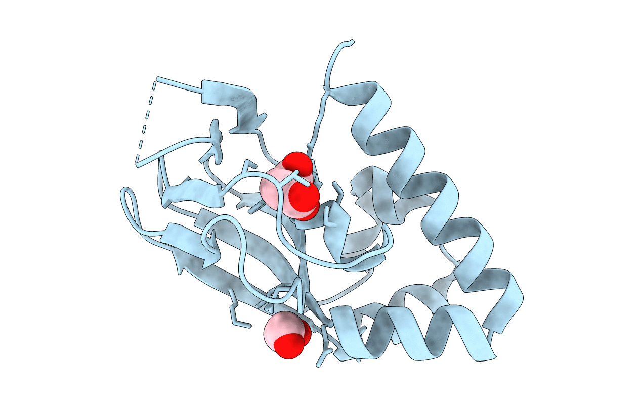 3MDP image