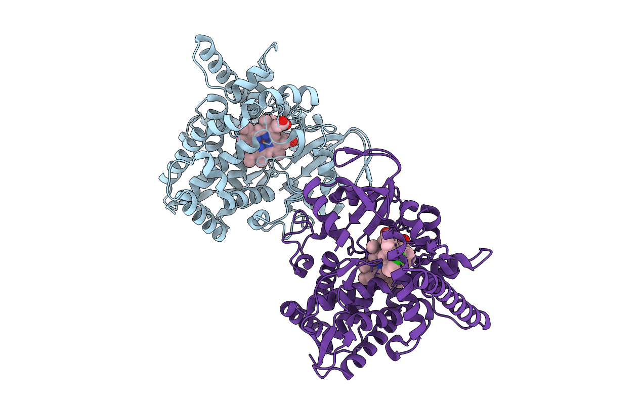 3MDV image