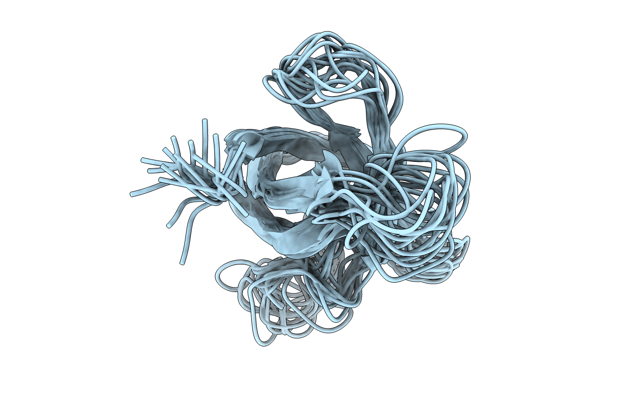 3MEF image