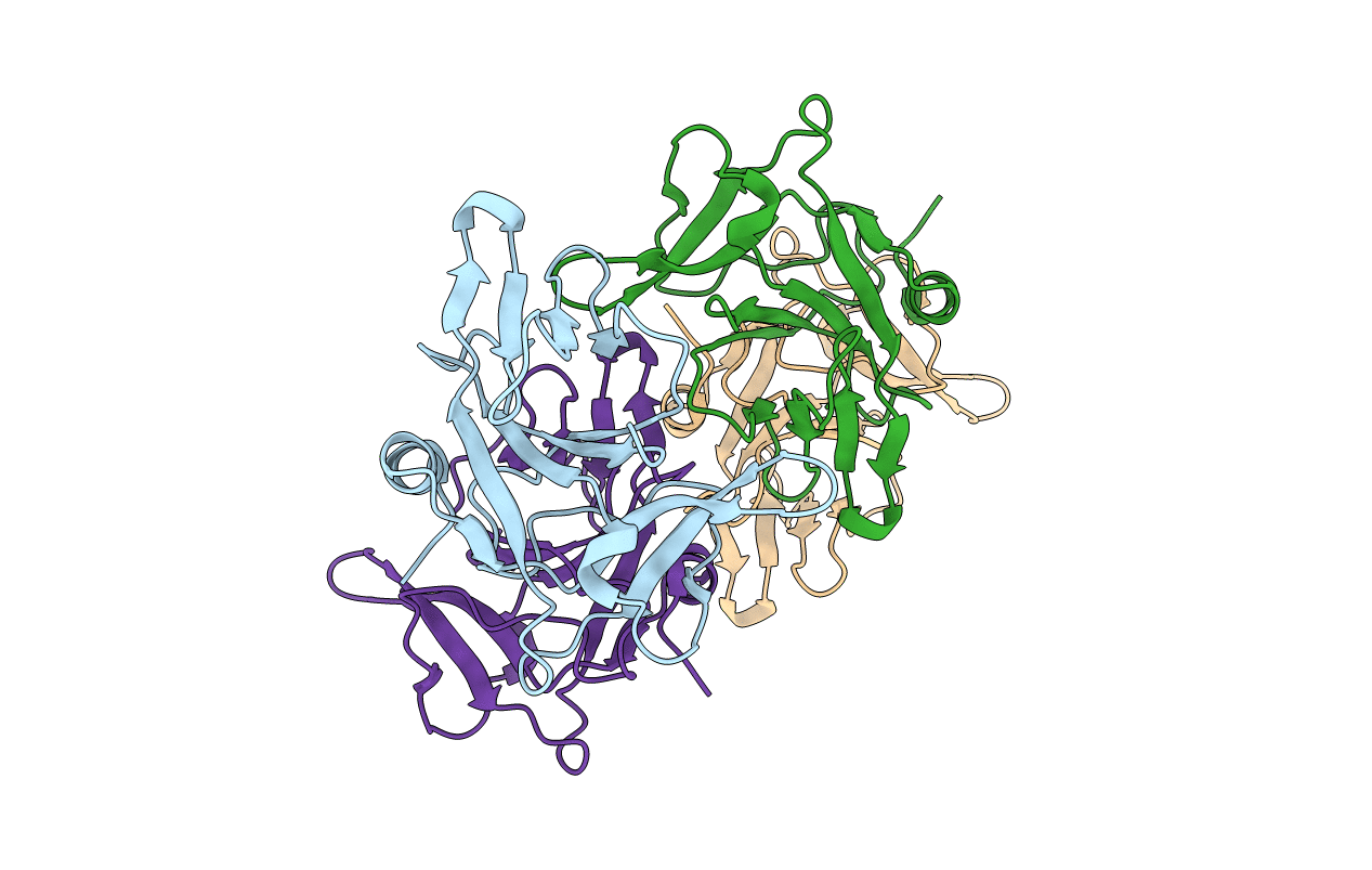 3MFB image