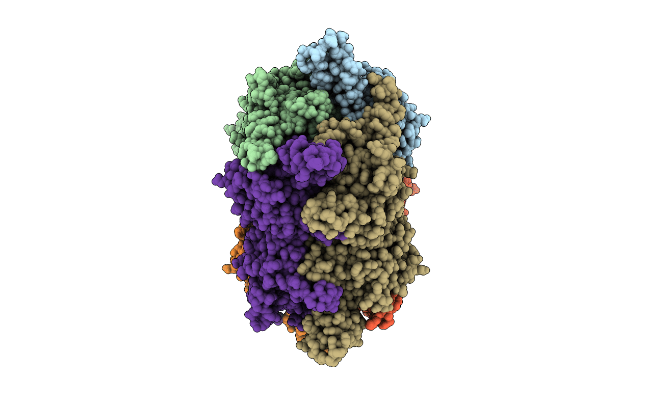 3MFM image