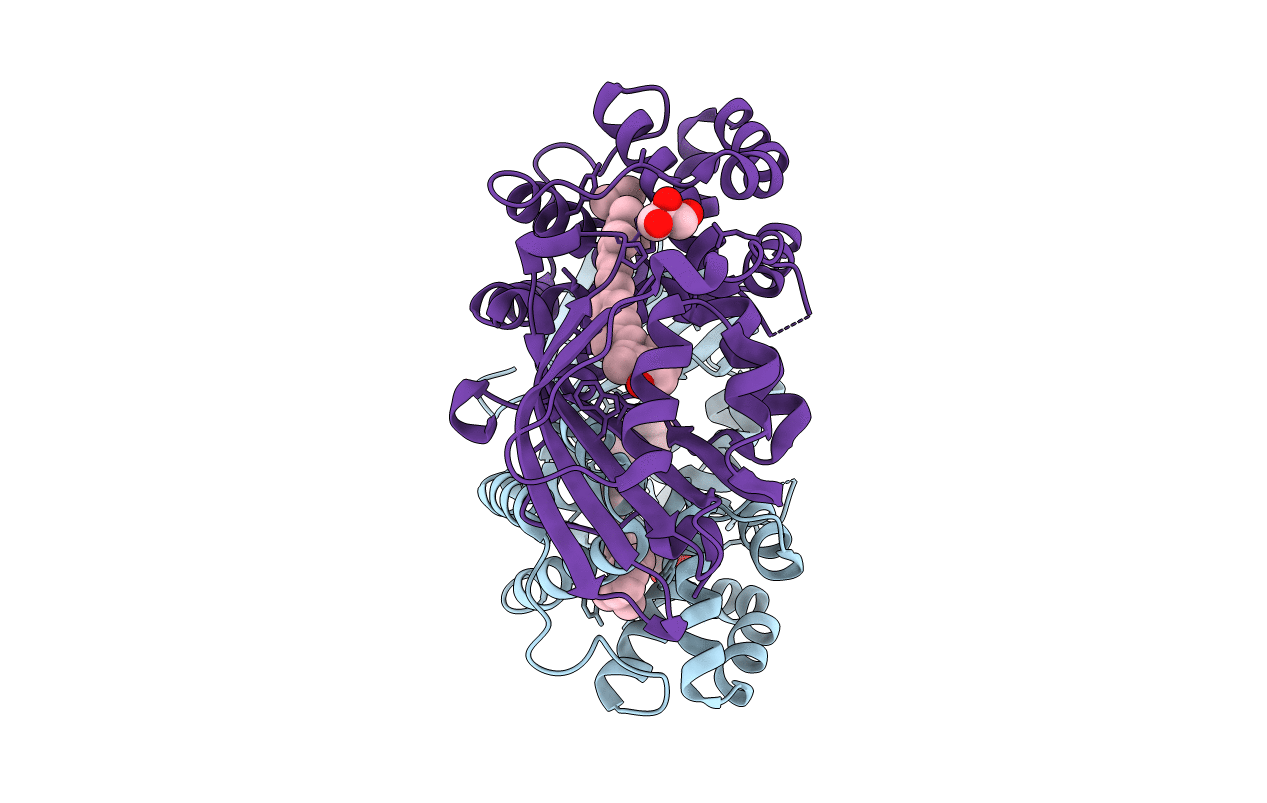 3MG1 image