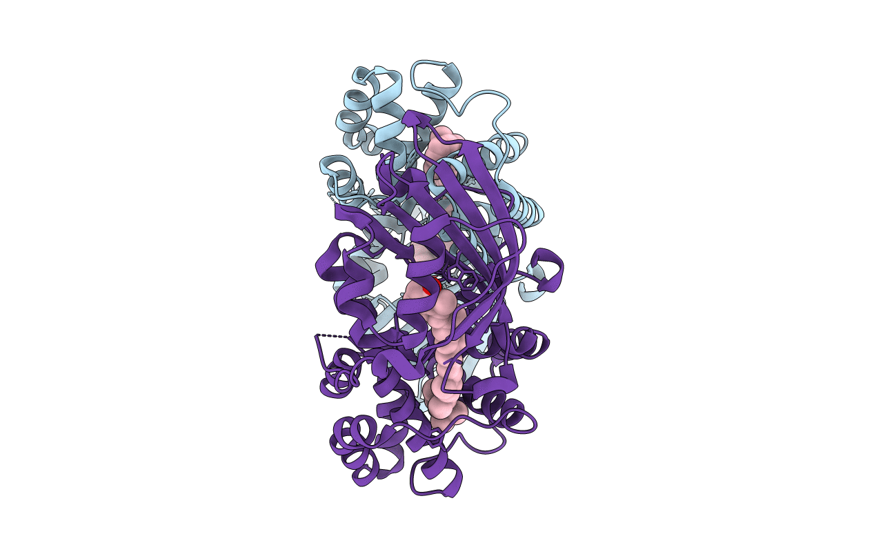 3MG2 image