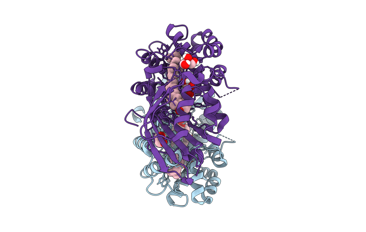 3MG3 image