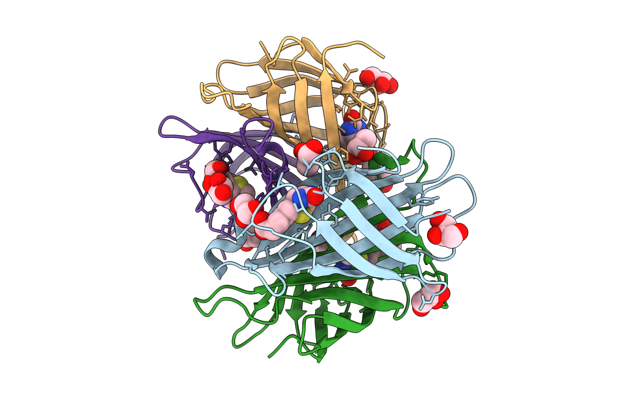 3MG5 image