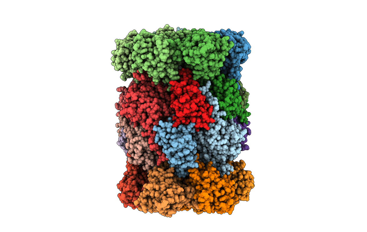 3MG8 image