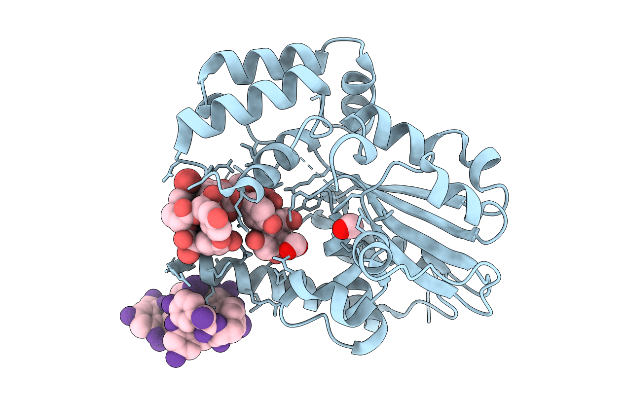 3MG9 image