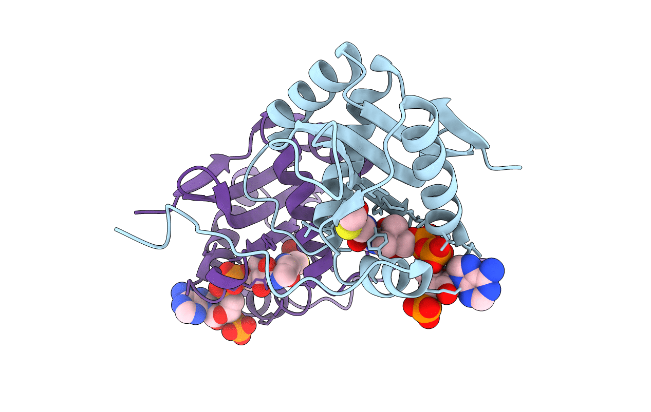 3MGD image