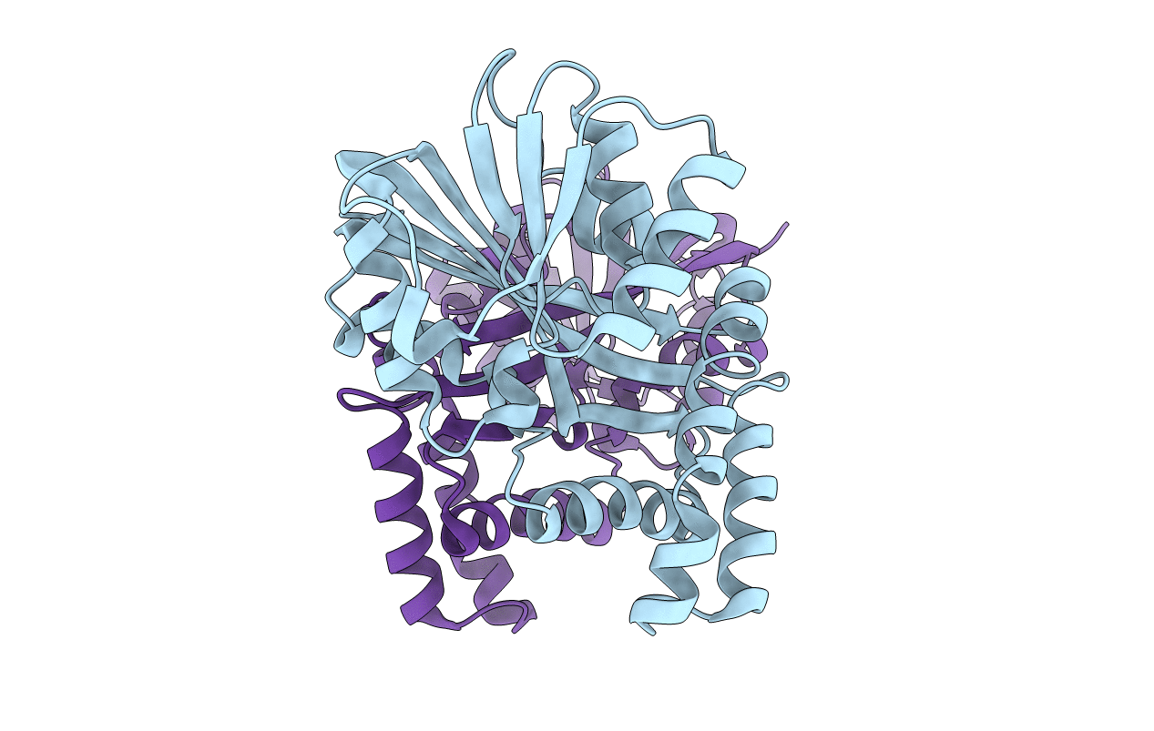 3MGG image
