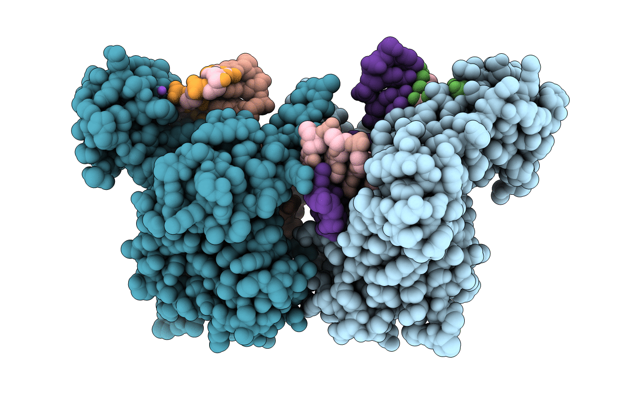 3MGH image