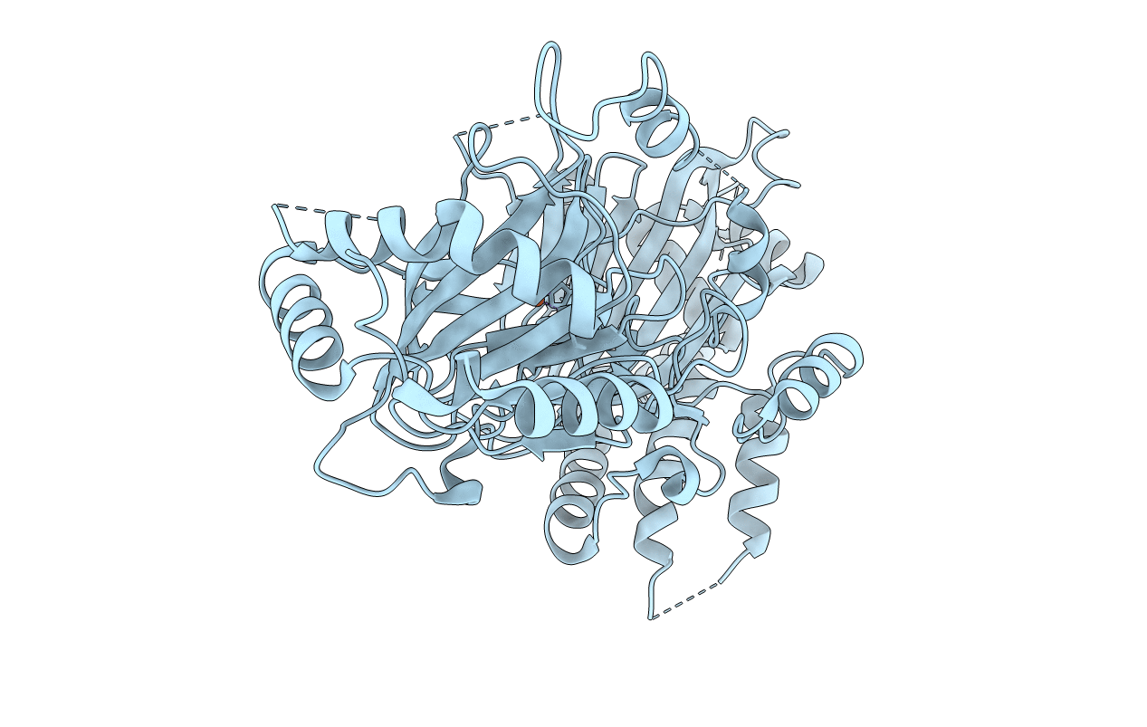 3MGU image