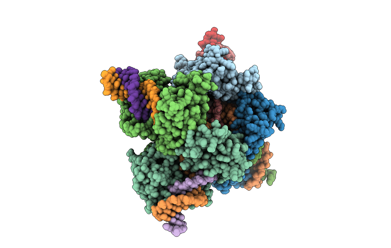 3MGV image