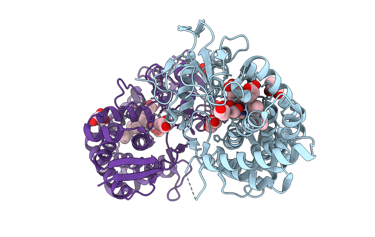 3MGX image