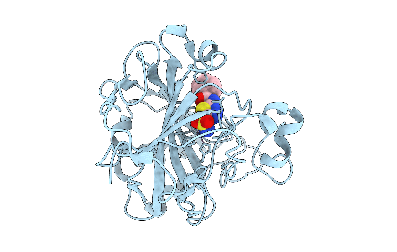 3MHC image
