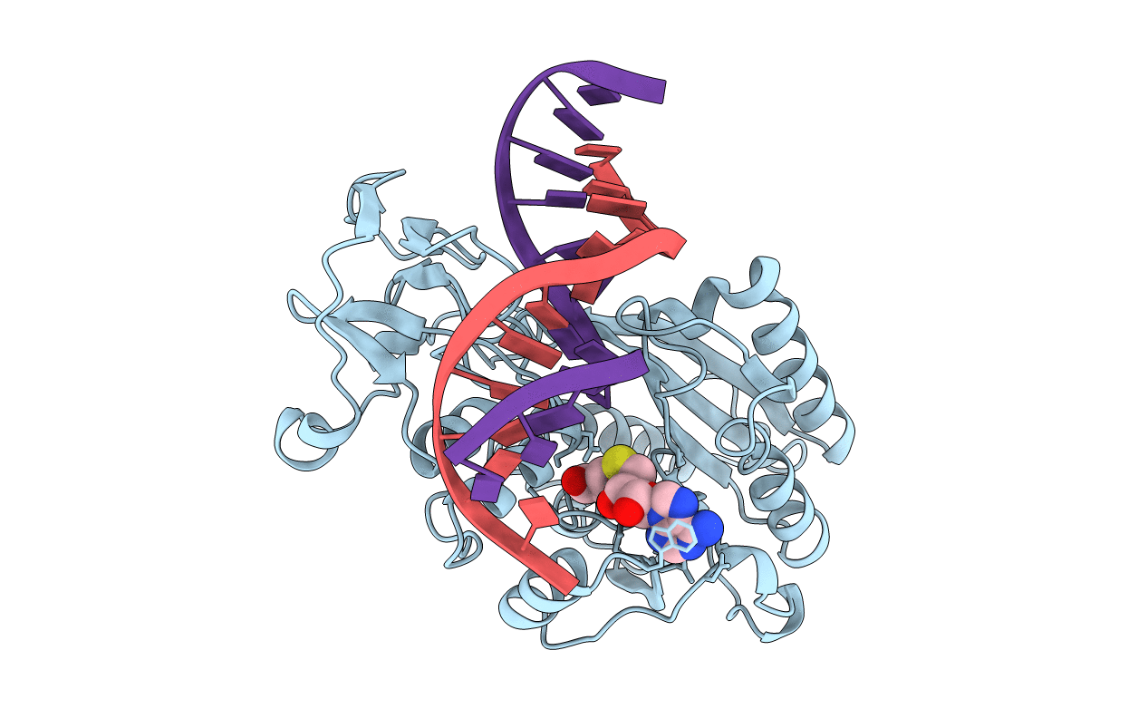 3MHT image