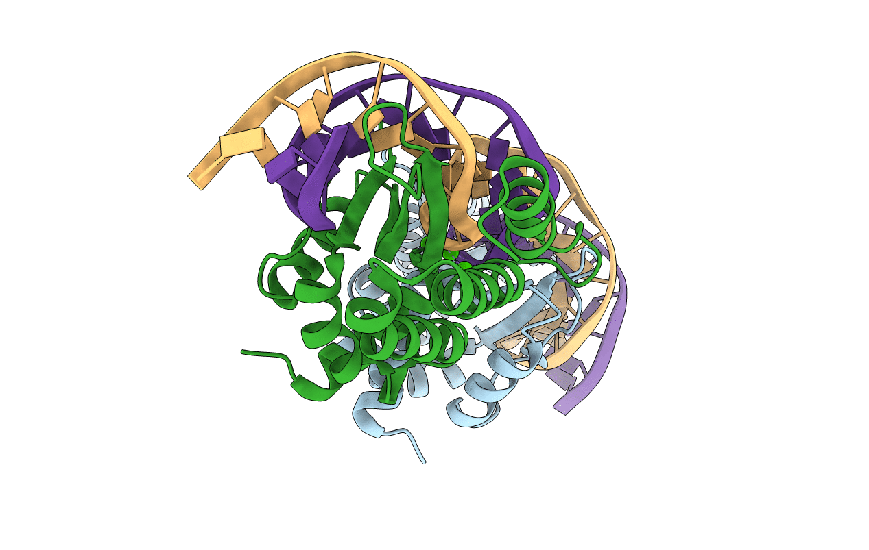 3MIP image