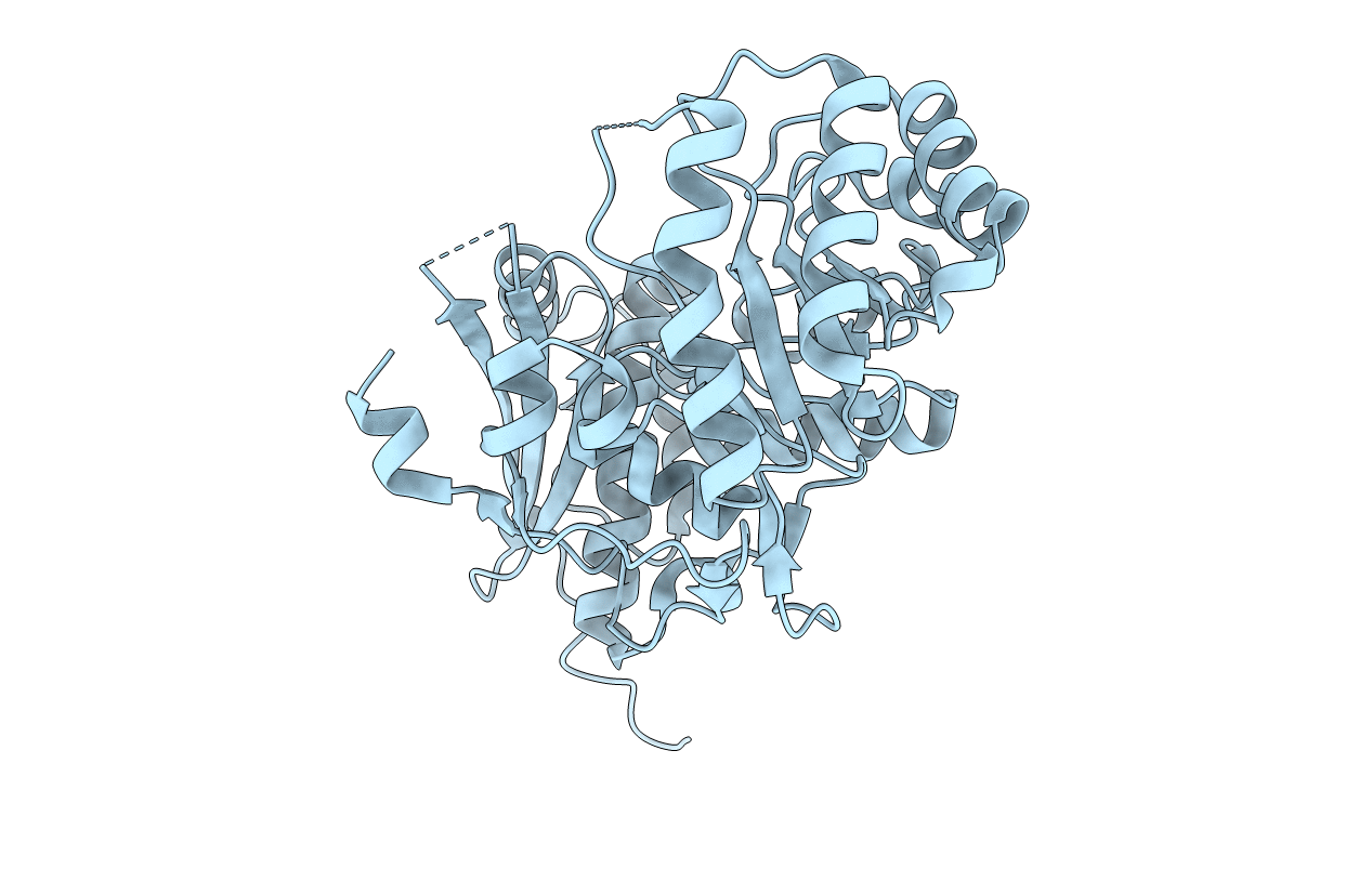 3MKC image