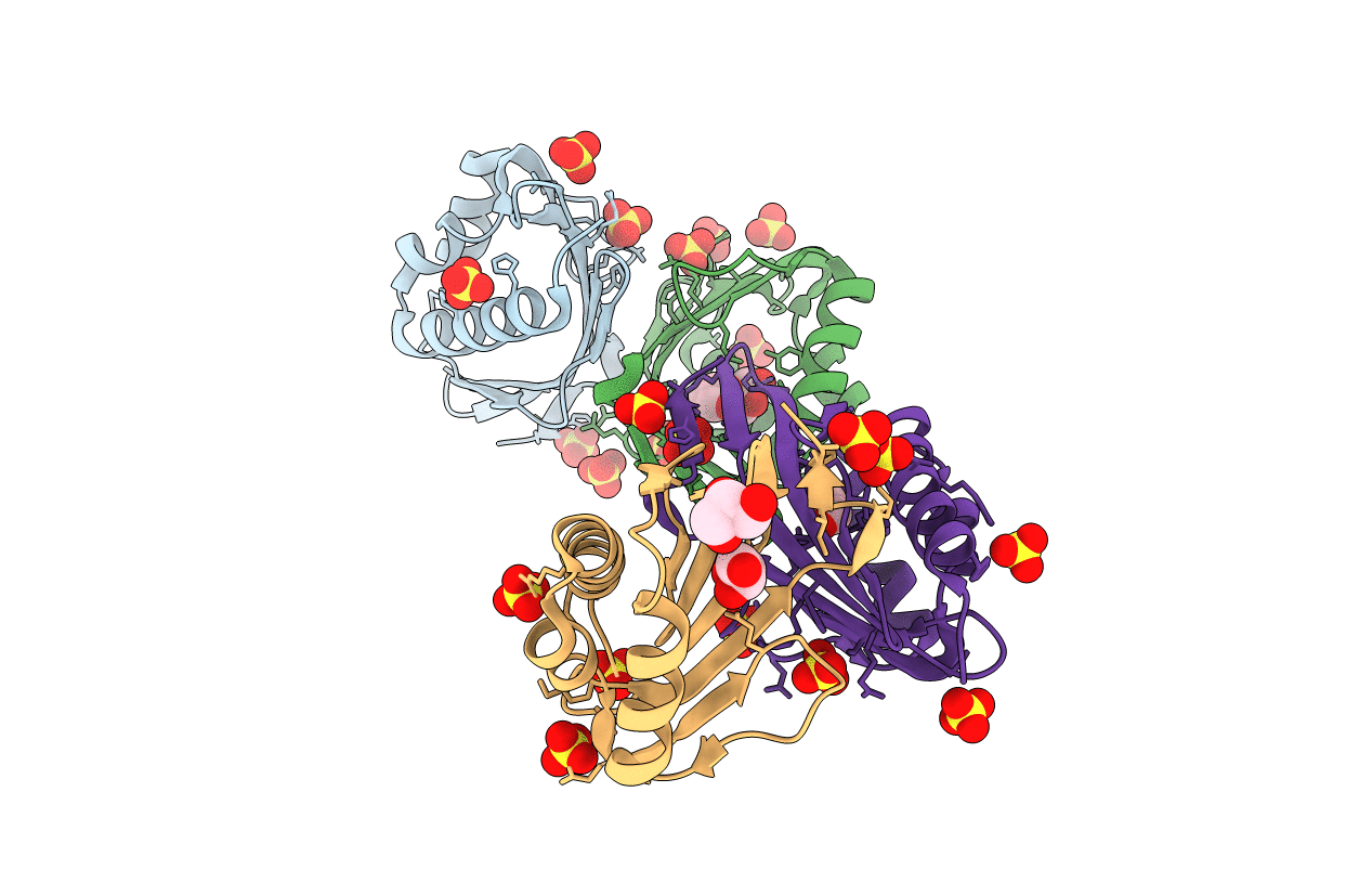 3MKI image