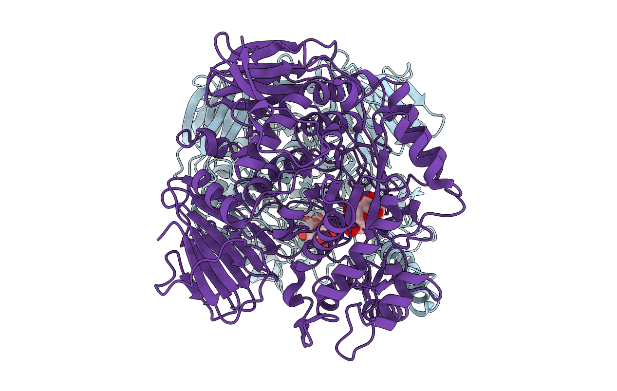 3MKK image