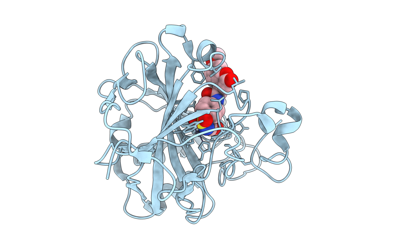 3ML2 image