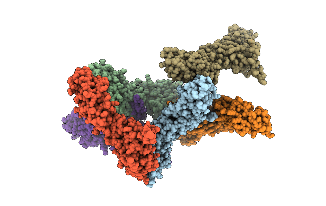 3ML6 image