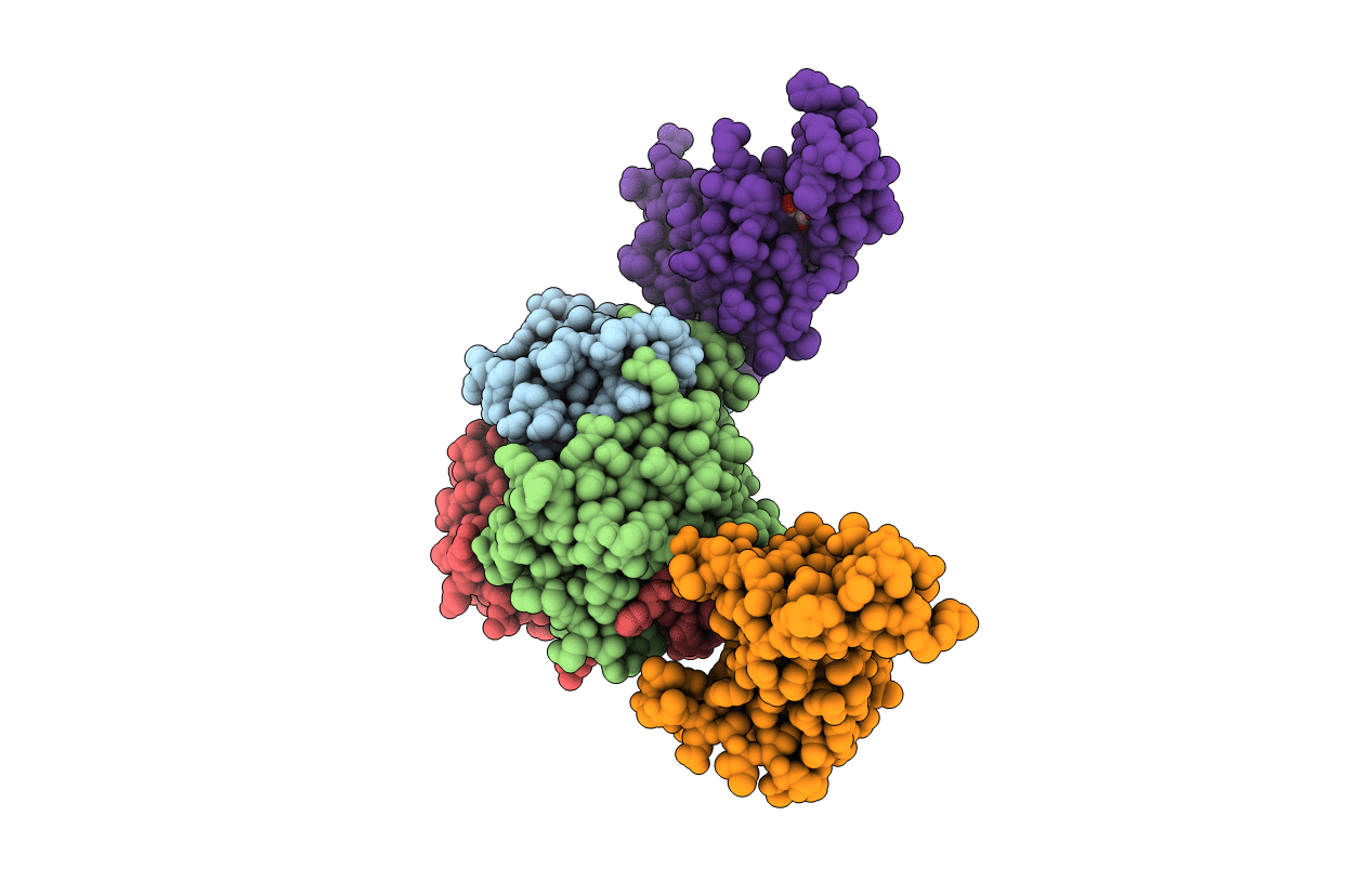 3MLC image