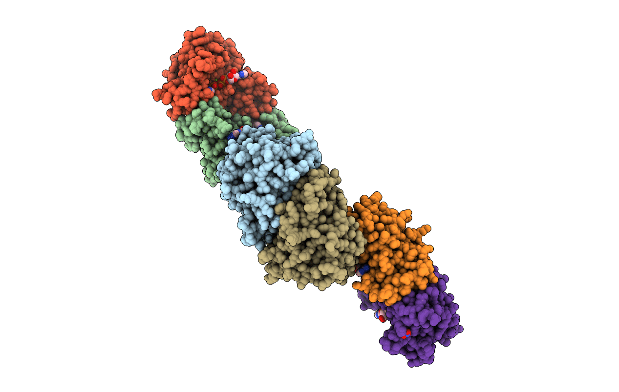 3MLE image