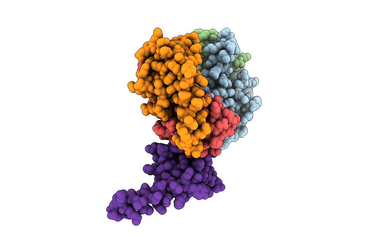 3MLF image