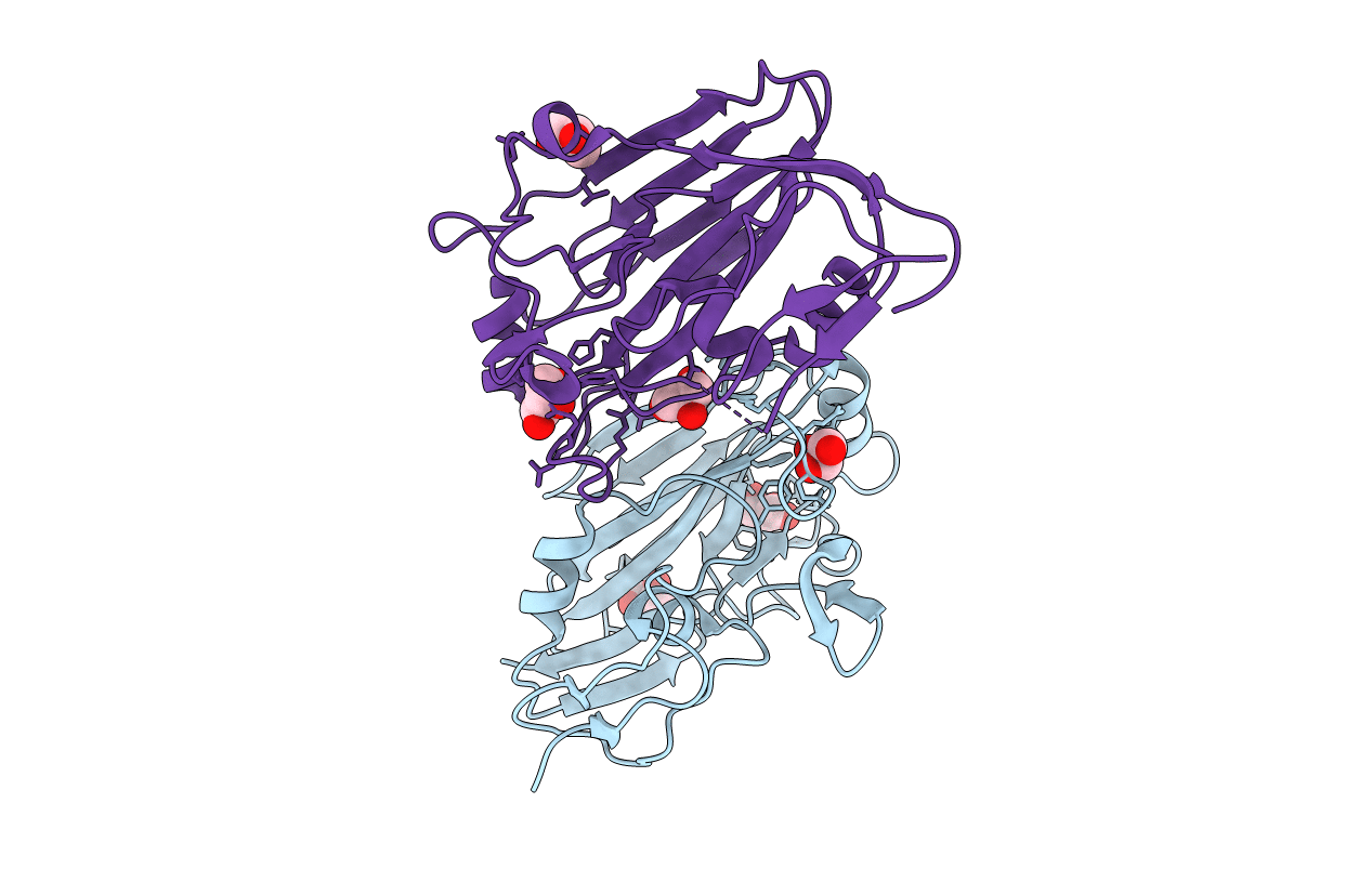 3MLH image