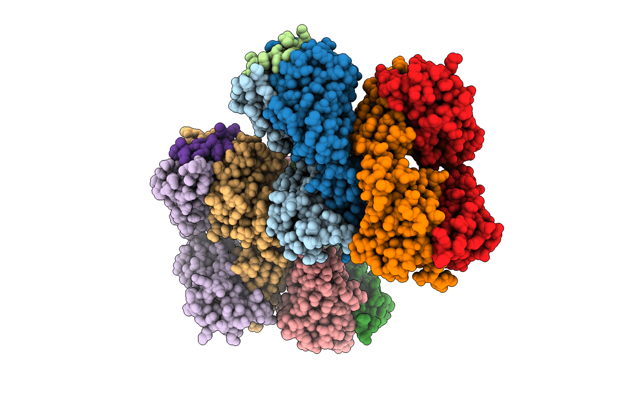 3MLT image