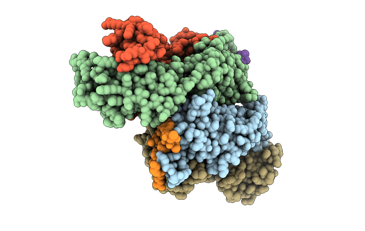 3MLX image