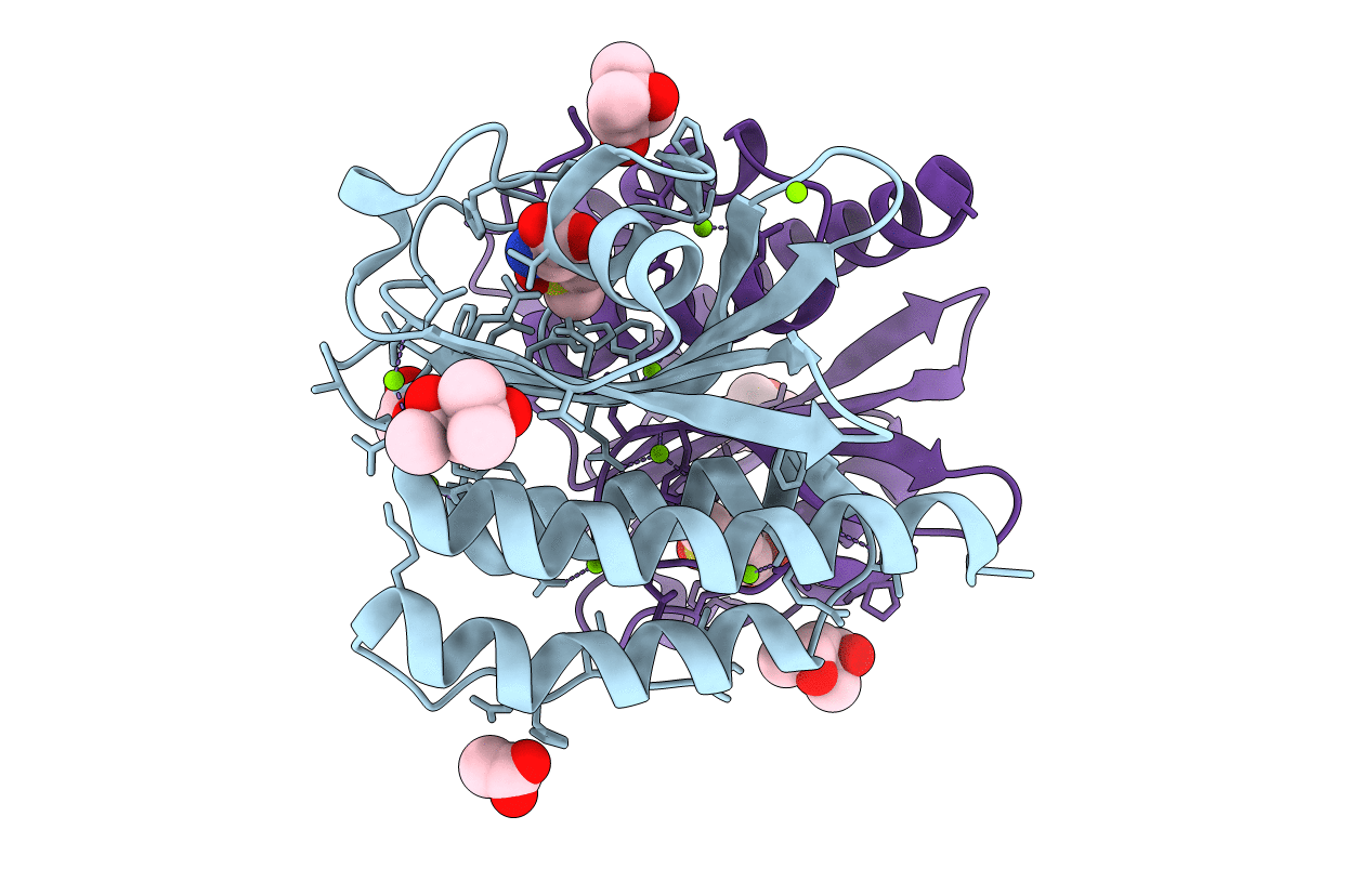 3MMH image