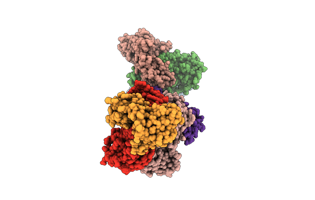 3MML image