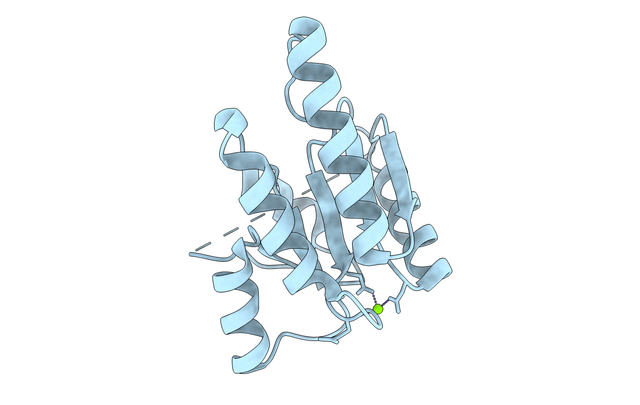 3MMN image