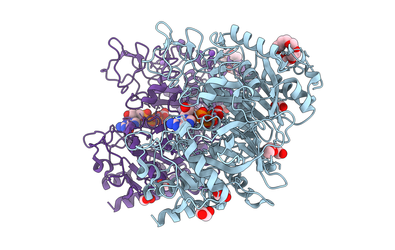 3MOF image