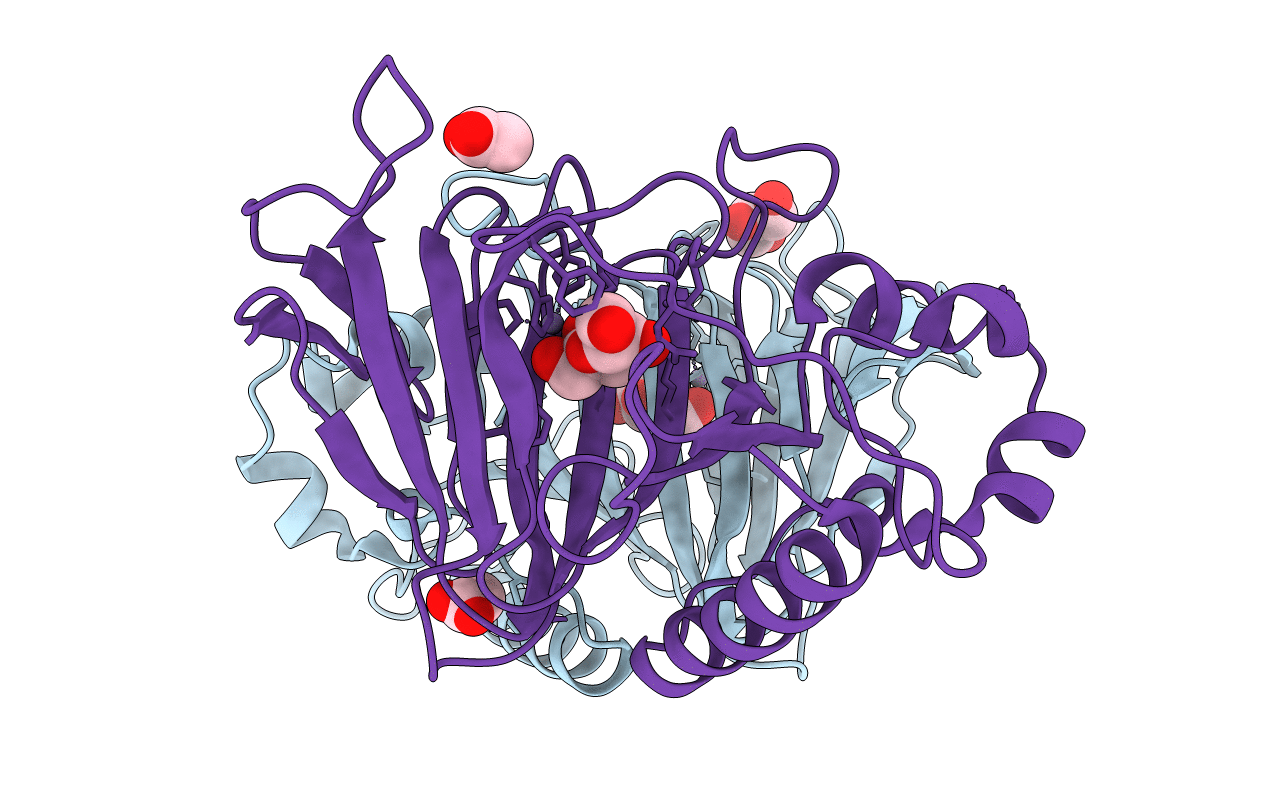 3MPB image