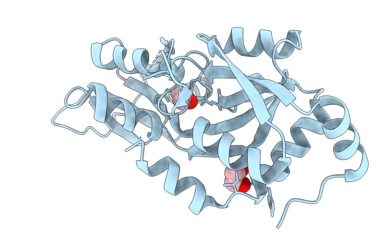 3MPL image