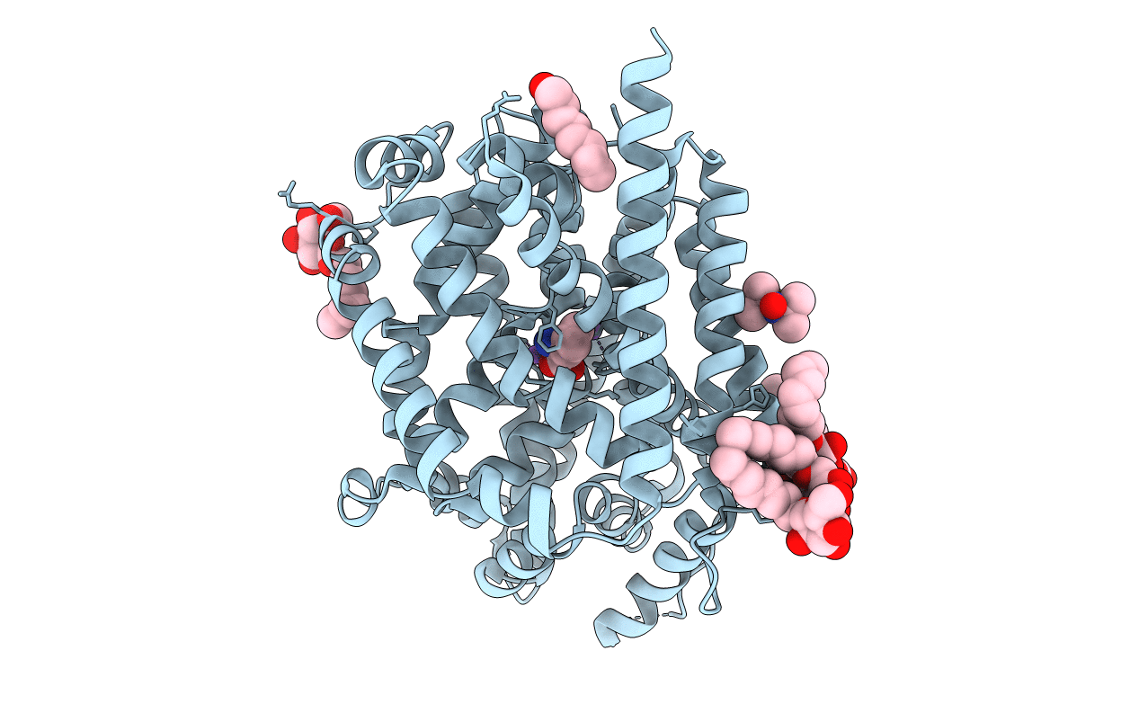 3MPN image