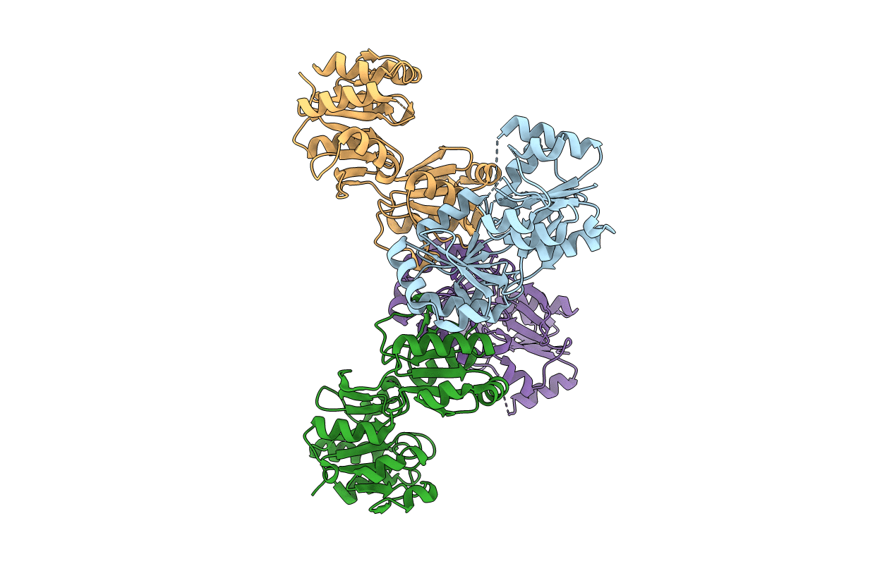 3MPO image