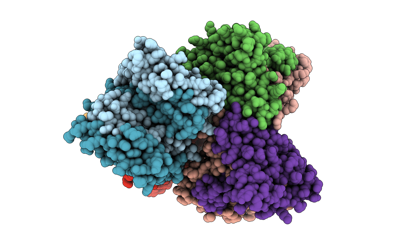 3MPS image