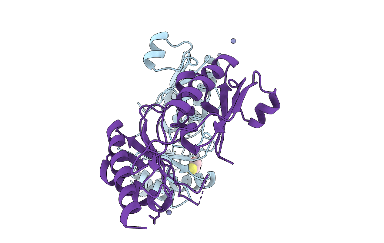 3MPV image