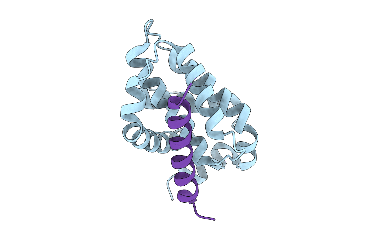 3MQP image