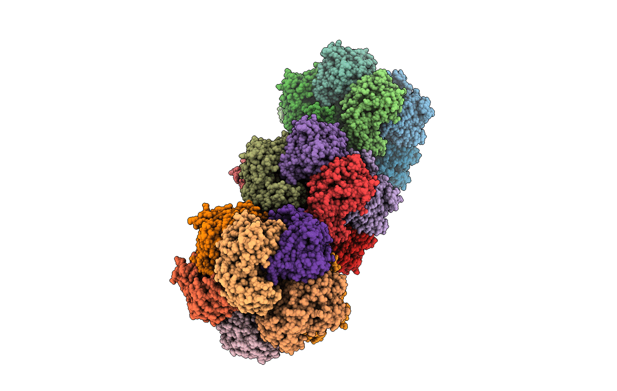 3MQT image