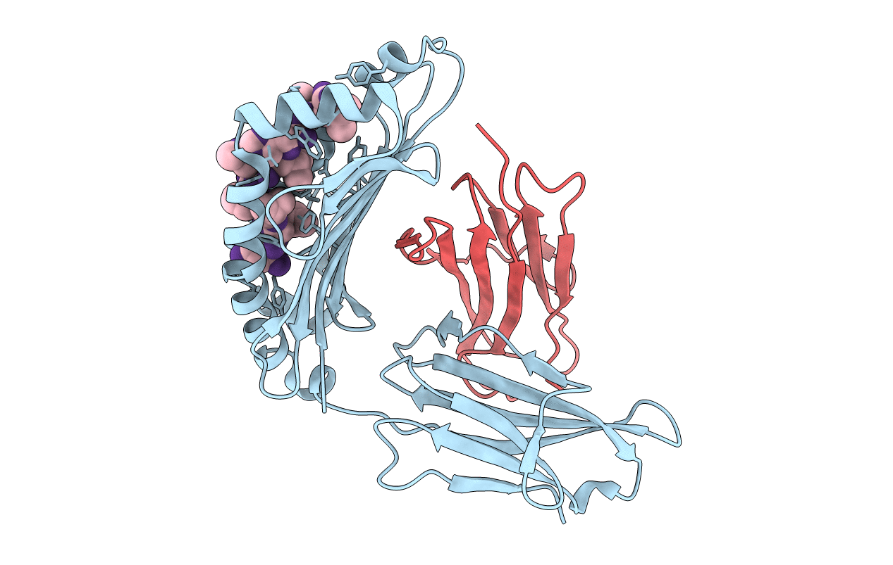 3MRB image