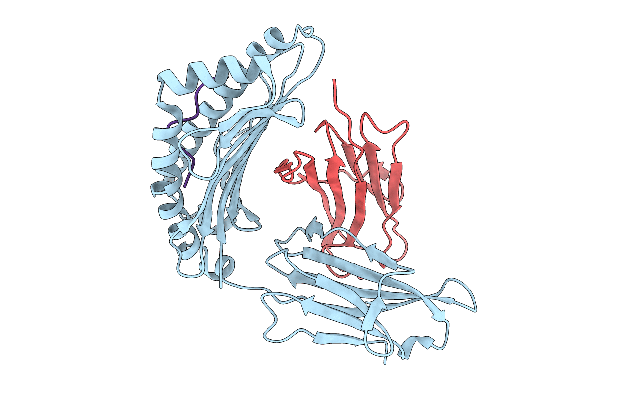 3MRR image