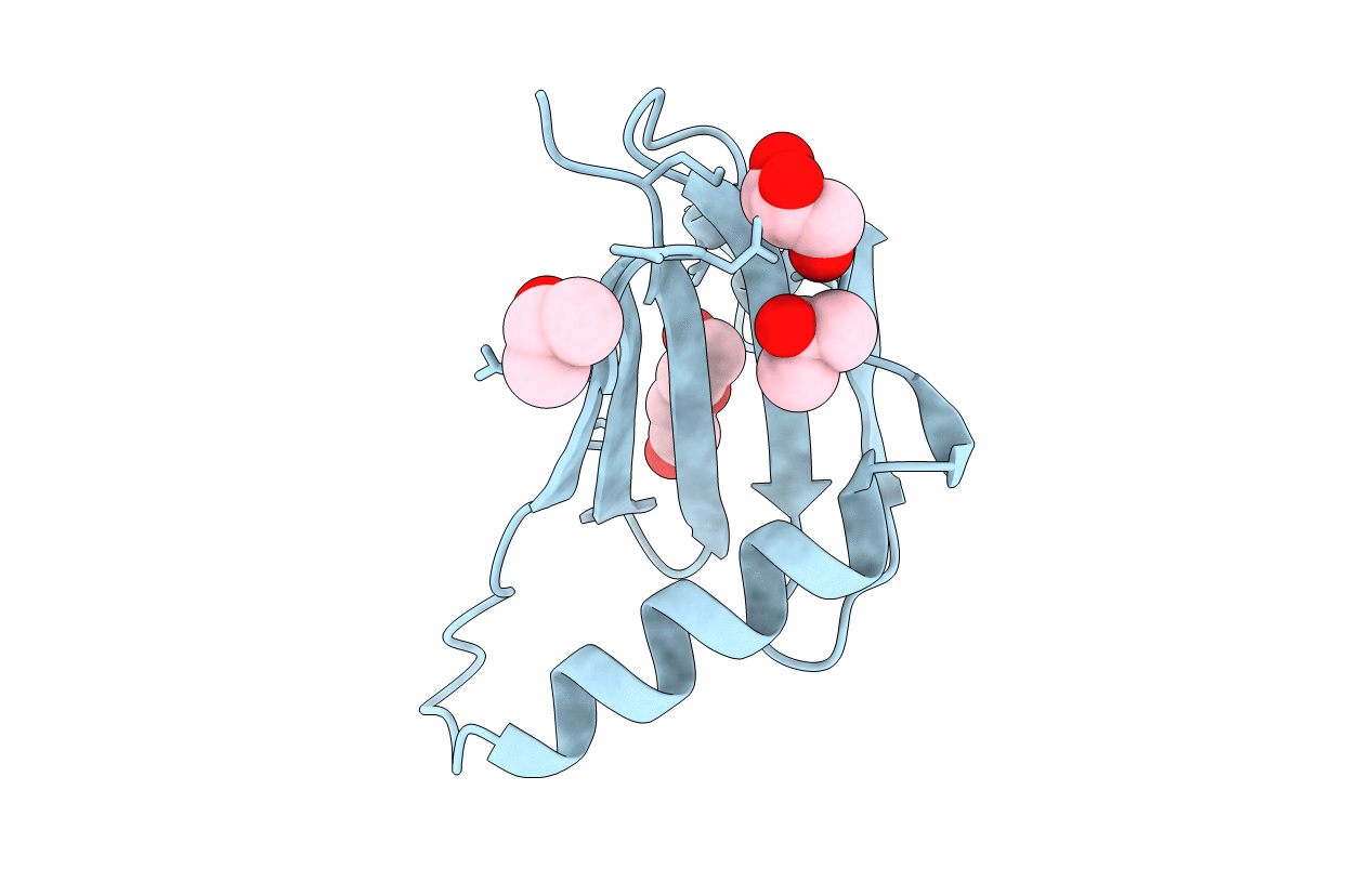 3MS6 image