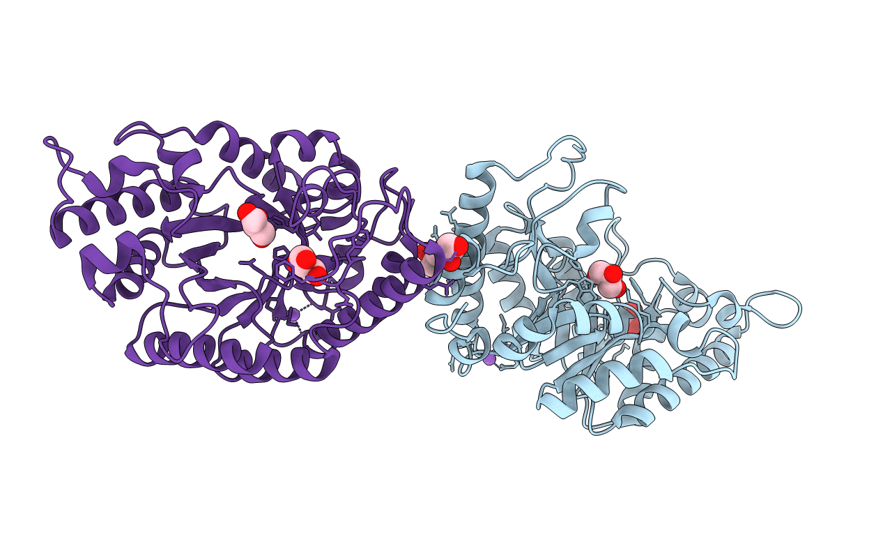 3MS8 image