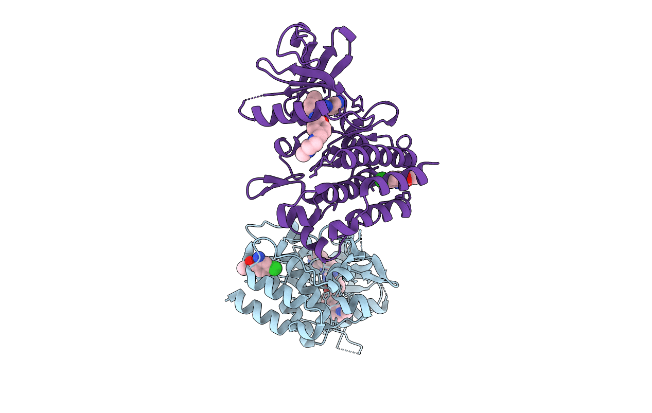 3MS9 image