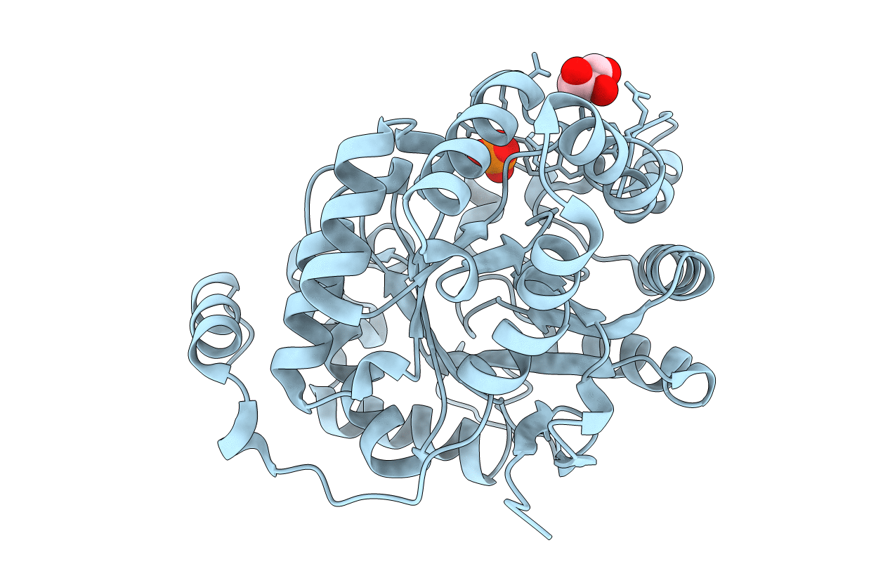 3MSR image